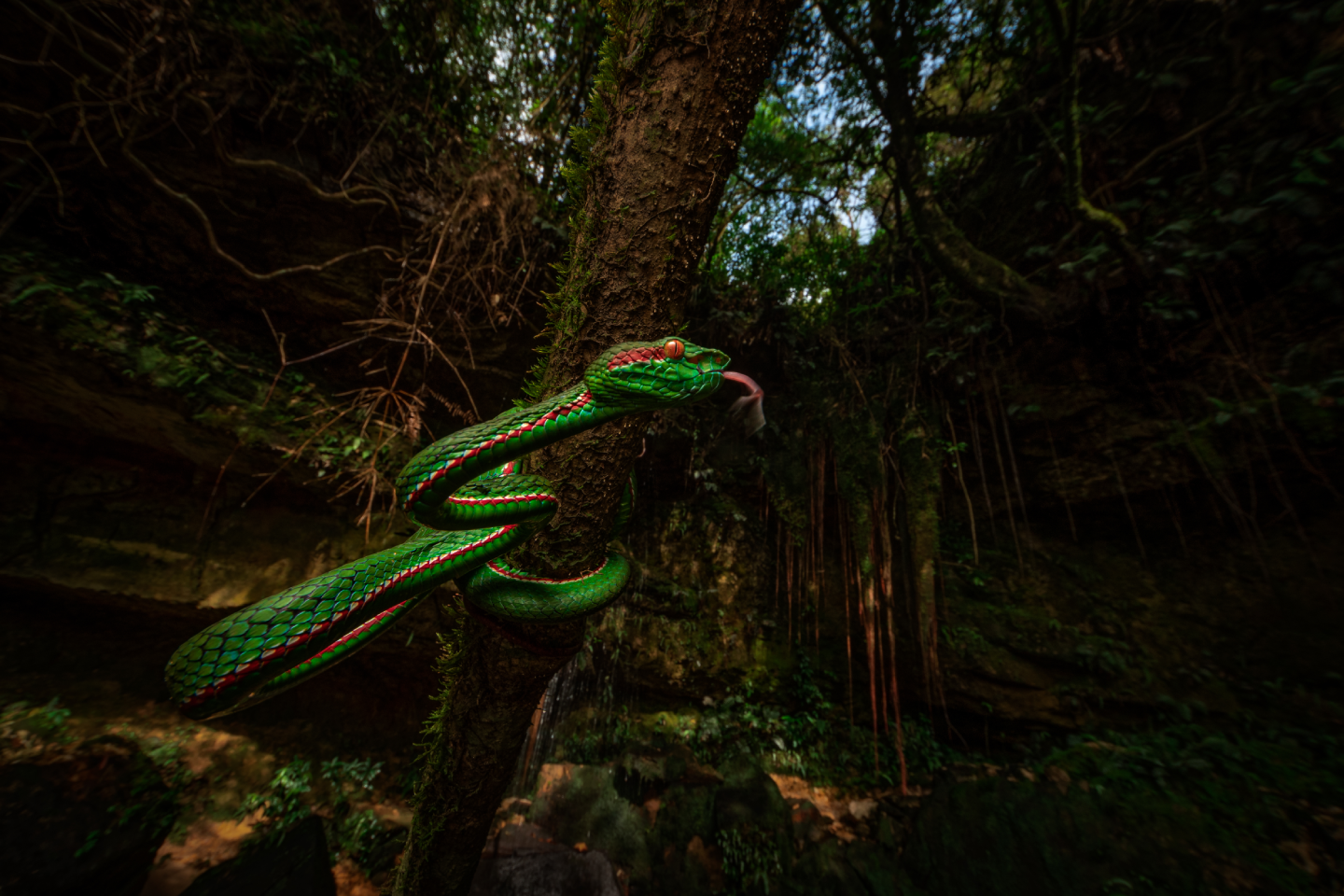 Cherrapunji, Meghalaya, India
